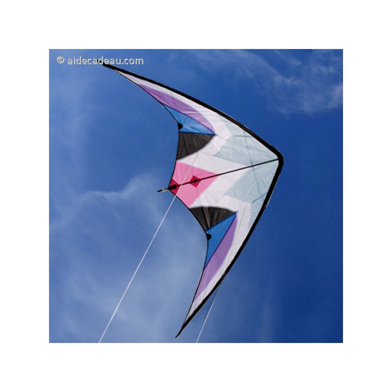 Cerfvolant acrobatique an toile de nylon Delta  AideCadeau.com