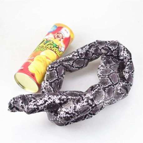 Boîte à chips factice avec faux serpent 