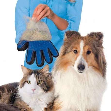 Gant massage et attrape poils chien et chat