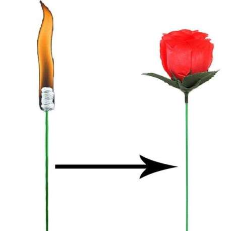 Torche enflammée apparition fleur pour tour de magie 