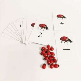 Coccinelles et cartes chiffres atelier mathématiques