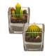 Bougies décoratives en forme de cactus en verre 
