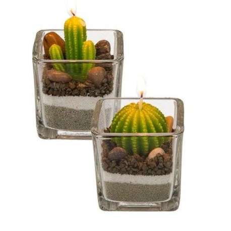 Bougies décoratives en forme de cactus en verre 