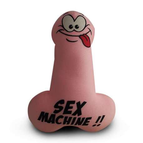 Petit coussin pénis : sex machine