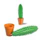 Stylo cactus en pot