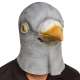 Masque de pigeon en latex