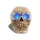 Crâne avec des yeux lumineux en LED
