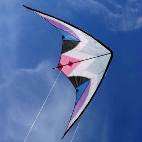 Cerf-volant acrobatique an toile de nylon Delta