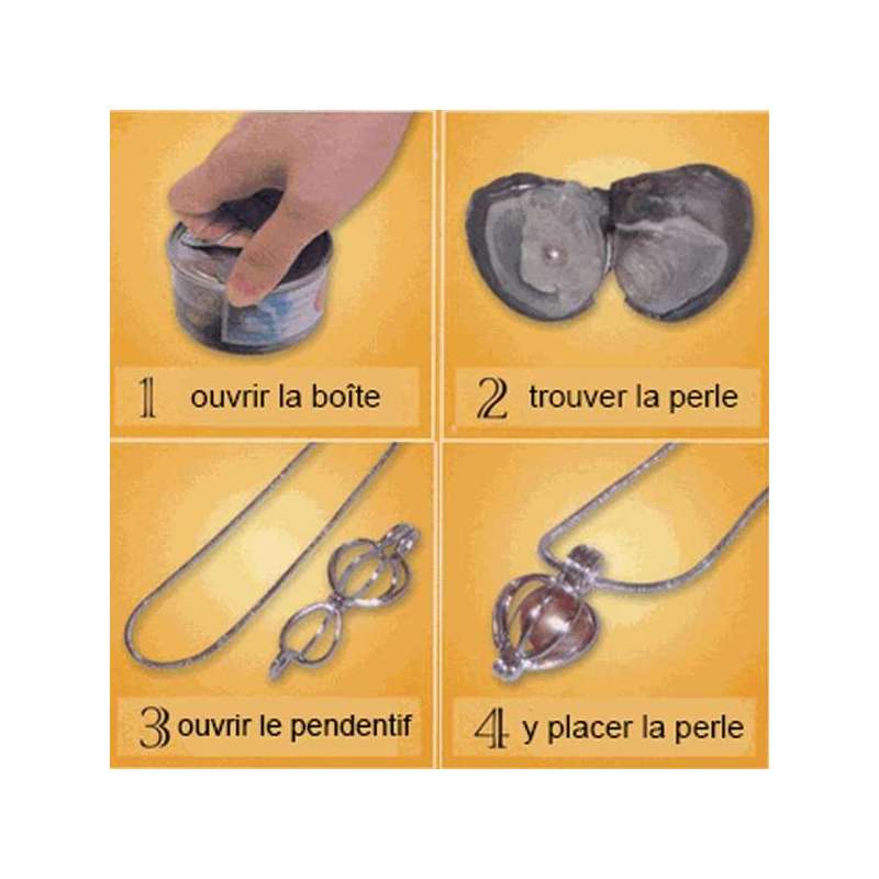 Coffret perle naturelle dans huitre et collier pendentif licorne -  Totalcadeau