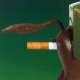 Distributeur de cigarettes humoristique en forme d'âne