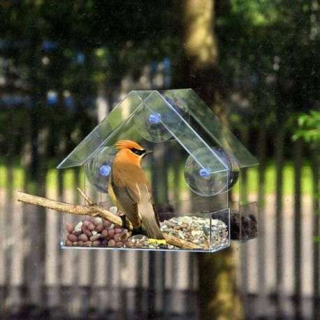 Maison mangeoire pour oiseau 