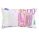  Coussin billet de banque 500 euro 