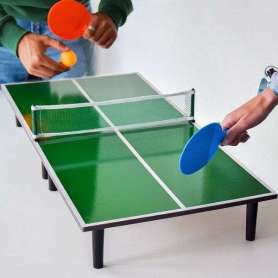 Table de Ping-Pong Portative 90 cm: Compacte et Pratique pour Jeu Rapide Partout
