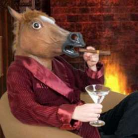Masque cheval géant en latex
