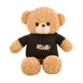  Ours en peluche à caméra espion HD 1080P détecteur de mouvement Wifi 