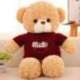  Ours en peluche à caméra espion HD 1080P détecteur de mouvement Wifi 
